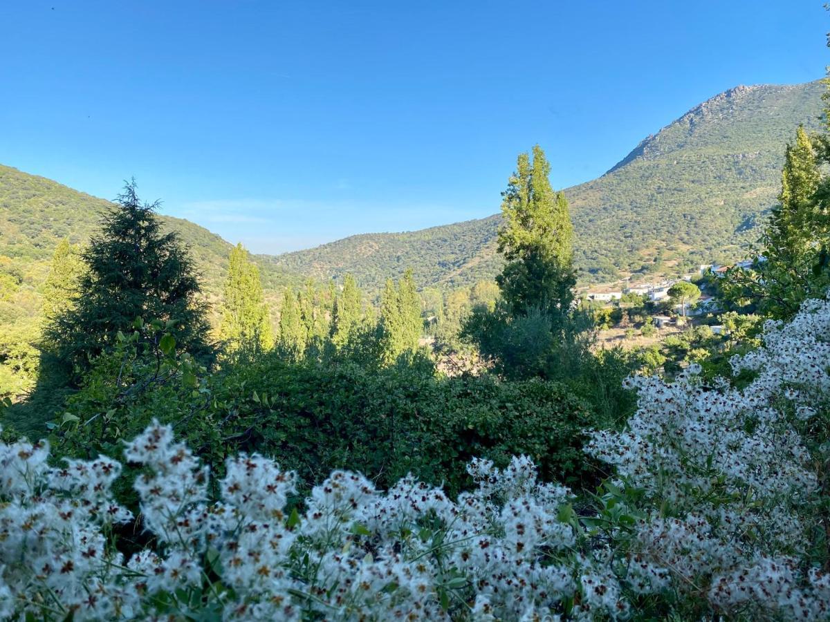 Wild En Casitas De Huerta Arriba Holiday home *