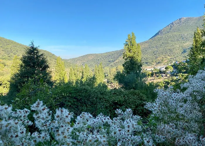 Stay Wild En Las Casitas De Huerta Arriba