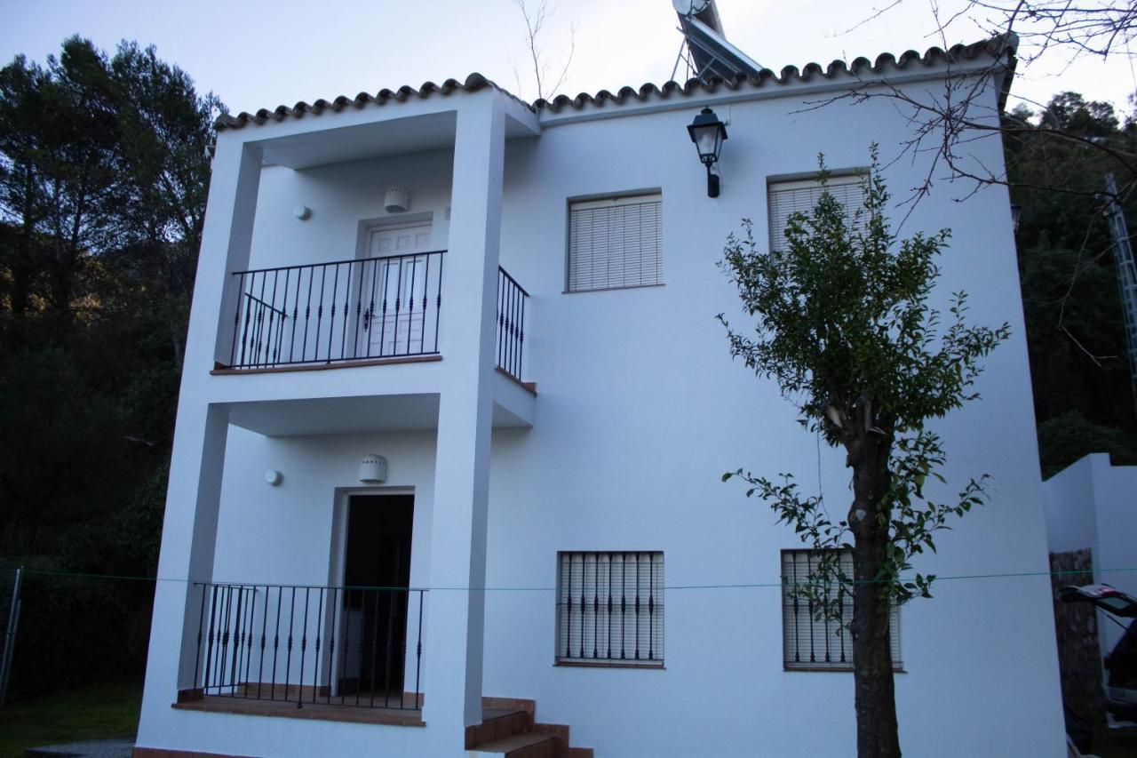 Wild En Casitas De Huerta Arriba Benamahoma