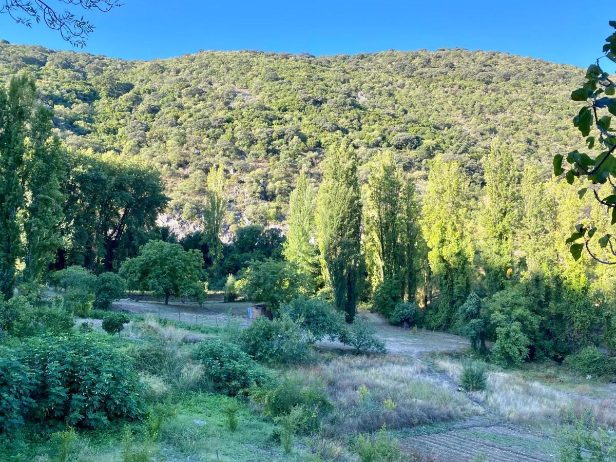 Wild En Casitas De Huerta Arriba *