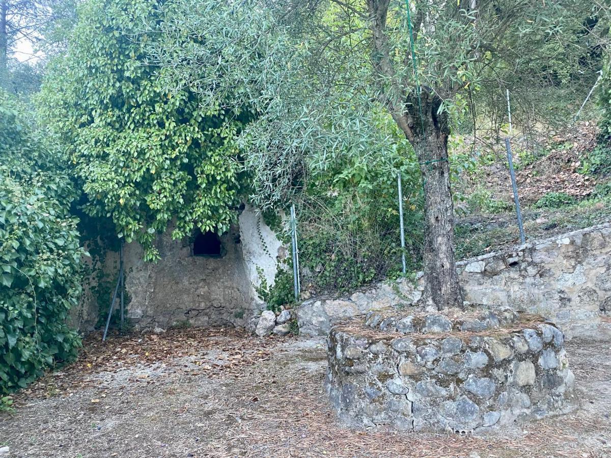 Wild En Casitas De Huerta Arriba Holiday home Benamahoma