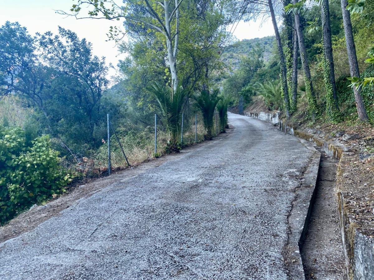 Wild En Casitas De Huerta Arriba
